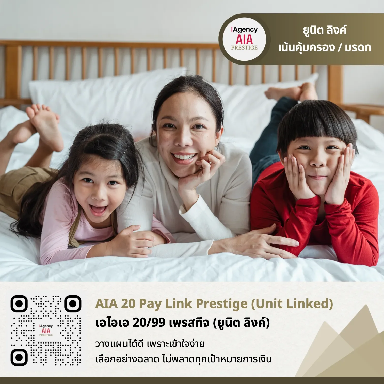 AIA 20 Pay Link Prestige